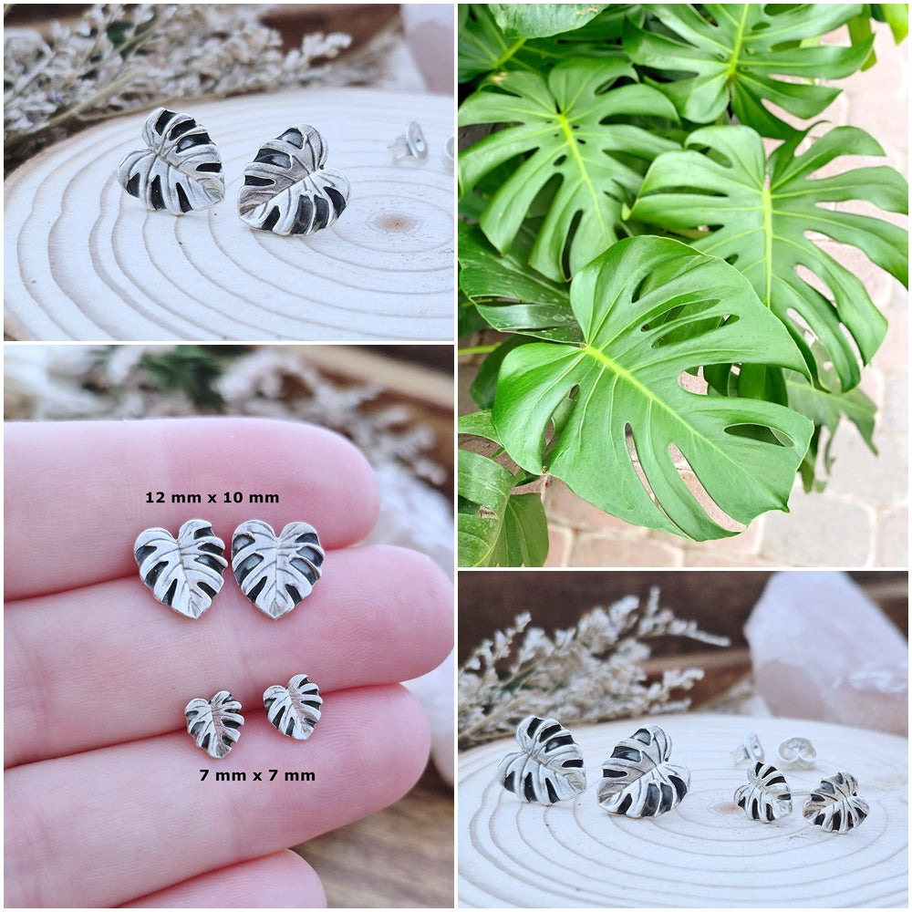 Srebrni uhani Monstera - Monstera Deliciosa